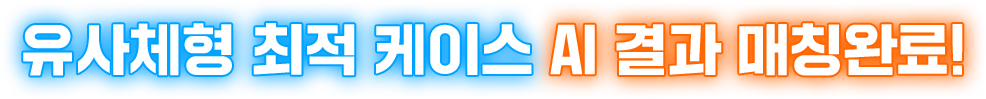유사체형 최적 케이스 AI 결과 매칭완료